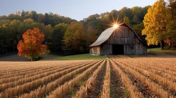 Autumn landscape with barn and golden fields photo