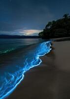 Glowing waves on a tropical beach at night photo