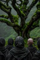 Mysterious figures in dark cloaks in a lush, green forest photo