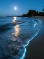 Serene beach scene at night with moonlight reflection photo