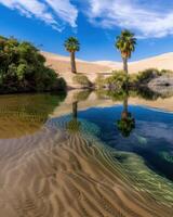 Serene desert oasis with palm trees and calm waters photo