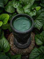 close up of a green smoothie drink in a black ceramic cup surrounded by lush green leaves photo