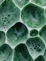 abstract green fluid art background photo
