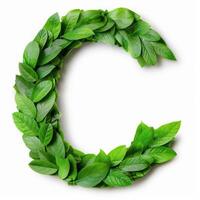 Wreath made of fresh green leaves photo