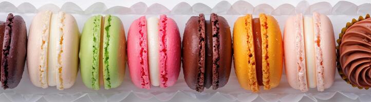 Colorful macarons on display photo