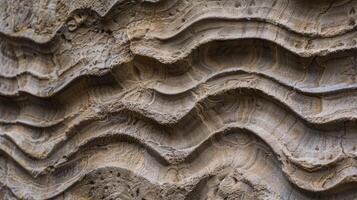 Intricate rock formations with natural patterns photo
