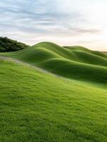 Scenic rolling hills with lush green grass and colorful wildflowers photo