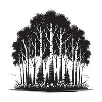 Black Silhouette of Birch Trees Grove Flat Design on White Background vector