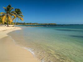 Tropical beach with crystal-clear water, white sands, and palm trees swaying in the breeze photo