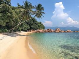 Tropical beach with crystal-clear water, white sands, and palm trees swaying in the breeze photo