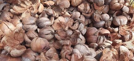 Pile of dried brown coconut coir shell skins background photo