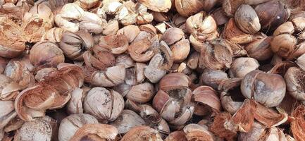 Pile of dried brown coconut coir shell skins background photo