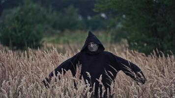 Mystical devil in black mantle on field. Portrait of a spooky figure with scary face in dark robe with hood on blur trees background outdoors. video