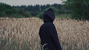 Dark ghost on a wheat field. Back view of a spooky figure in black cloak turning its scary face on camera on the nature background. video