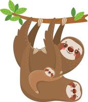 Charming illustration depicts a family of sloths hanging upside down from a tree branch, showcasing the tranquil beauty of wildlife in their natural habitat vector