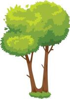 Two vibrant green trees stand tall and full, their lush foliage creating a vibrant scene against a clean white backdrop, evoking a sense of tranquility and natural beauty vector