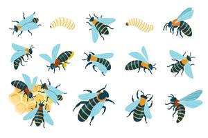 Cartoon bees insects. Cute flying striped bug, funny buzzing wasp and honeybee, cheerful small winged insect with stings. isolated set vector