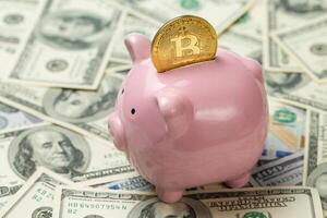 Pig piggy bank on the background of 100 US dollar bills and physical coins of bitcoins. Concept of wealth and exchange. photo