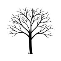 A black and white illustration of a tree with no leaves vector
