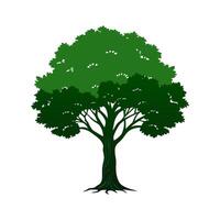 A tree with green leaves on a white background vector