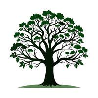 A tree with leaves and green leaves on it vector