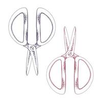 Fabric scissors shears thread cutting snips. Hand drawn ink illustration sewing craft embroidery supplies tools. Set of objects isolated on white background. Design atelier, tailor, hobby shop vector