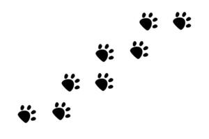 Paw print, dog or cat walk foot trace border. Pet footsteps trail. Simple silhouette step line. Cute marks on white background. vector