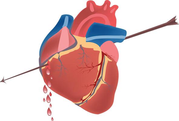 An illustration of a heart with a needle