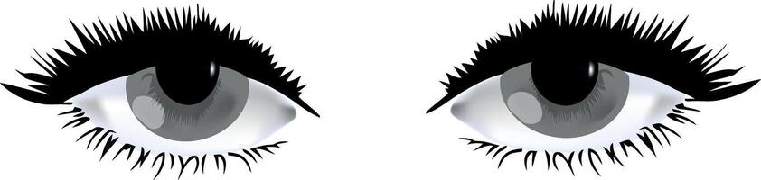 An image of a pair of eyes with long lashes vector