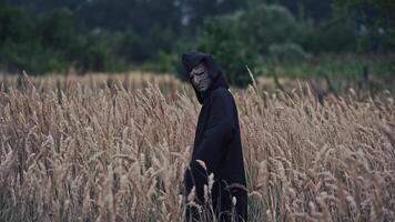 Scary black figure on a wheat field. Terrible ghost in dark mantle with hood looking at camera and turning around on nature evening background. Horror concept. video