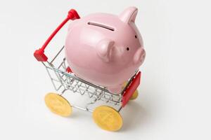 Piggy bank on a grocery cart with dollars. The concept of buying goods in the store. photo