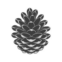 Drawn pine cone on white background. Fir cone. vector