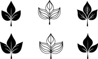 leaf icon set symbol unique style vector