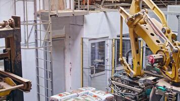 Mechanical robot with artificial intelligence sorts bags on the conveyor. Putting bags from line to the pallet. Process closeup. video