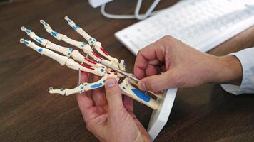 Skeleton model of a hand. Specialist showing the work of hand joints by a pen on artificial model. Close-up. video