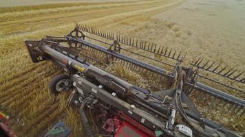 Harvester machine working in field . Combine harvester agriculture machine harvesting golden ripe wheat field. Agriculture. View from the driver's side. video