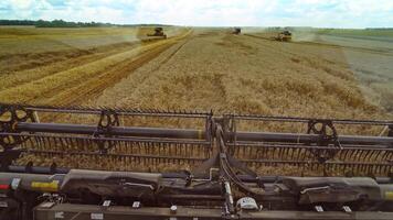 Harvesting of wheat in summer. Harvester working in the field. Combine harvester agricultural machine collecting golden ripe wheat on the field. View from the driver side. video