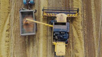 Top view on agricultural machinery. Combine harvester pouring out grains into the trailer of a tractor on the field background. Motion camera bottom up. video
