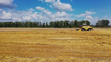 Ready yellow straw on the field. Combine harvester collecting grains in the beautiful summer landscape. Seasonal works in the farmland. Motion camera forward. video