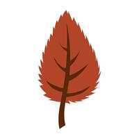 A painted flat illustration of a red autumn leaf with sharp edges. A simple cozy illustration of an isolated autumn leaf. Birch leaf from herbarium and scrapbooking. Dark dried leaf vector