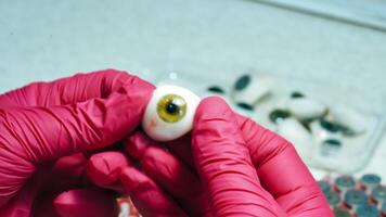 New plastic eye prosthesis in hands with pink gloves. Doctor looks at ready artificial cornea. video