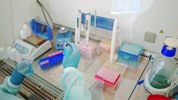 Close-up work of medical scientist with test tubes on sterile table. Hands in protective gloves of female assistant working with plastic vials in the laboratory. video