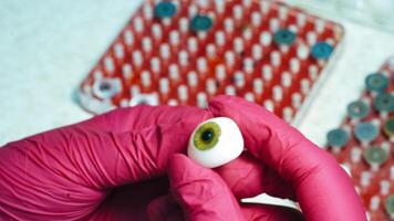 Cornea, the outer, transparent structure of plastic eye in hands. Technician holds artificial eye prosthesis in the laboratory. video