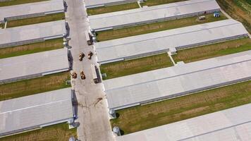 Top view on the roofs of modern buildings for poultry. Contemporary area for farming outdoors. Aerial view of two rows of long farm barns in the countryside. video