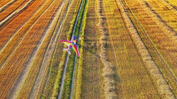 Lovers with a flying kite in a sunny summer day. Young couple having fun with colorful kite in a form of a plane on the field background. Aerial view. video