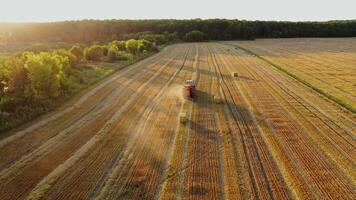 Agricultural machine works on the field in a sunny summer day. Tractor is pressing dried grass into square bales. Aerial view. Motion camera back. video