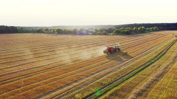 Agricultural tractor collecting hay into square bales on the field. Harvesting dry grass on the golden field in summer. Tractor on the field on the forest background. Aerial view. video