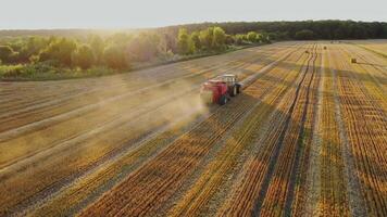 Red tractor on the yellow field in a sunny day. Harvesting dried grass in summer. Agricultural machine is baling hay into square bundles. Aerial view. video