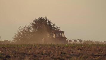 Tractor working on the field in the evening. Agricultural works on the natural background in the countryside. video