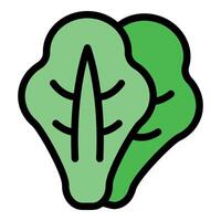 Two green lettuce leaves representing healthy eating and vegetarian lifestyle vector